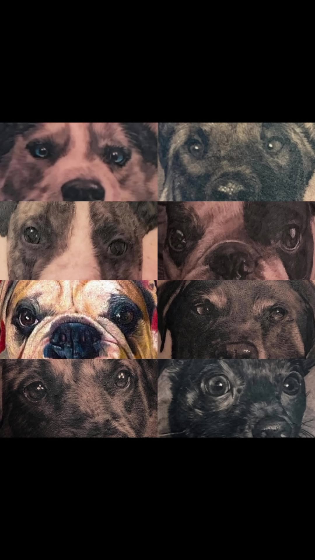 Realistic dog portrait tattoo collection