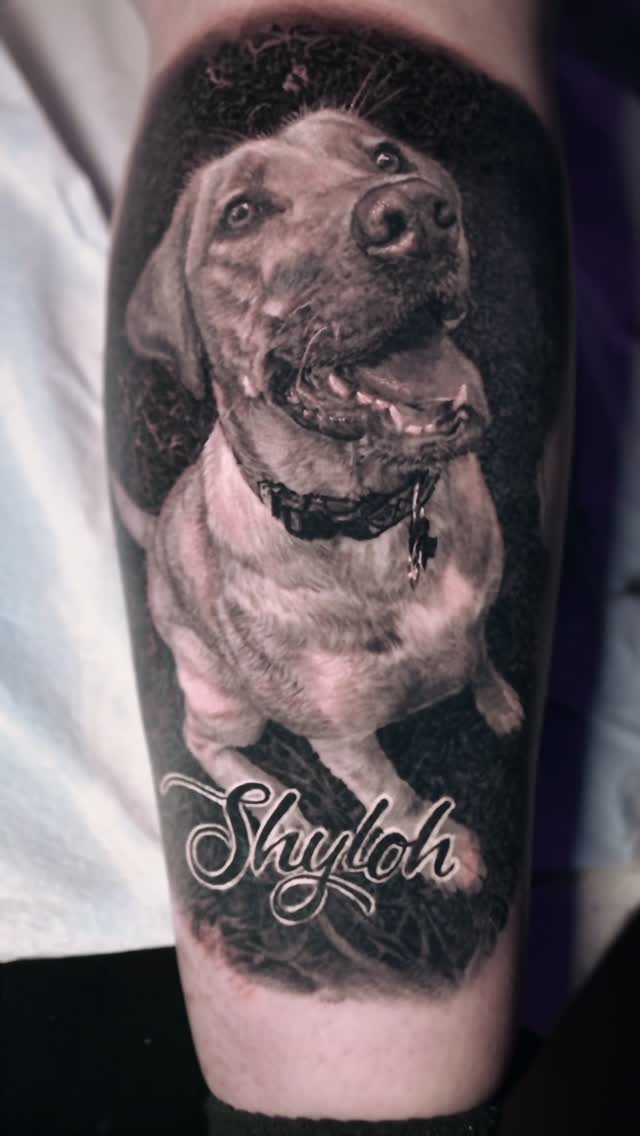 Black-and-grey dog portrait tattoo, calf