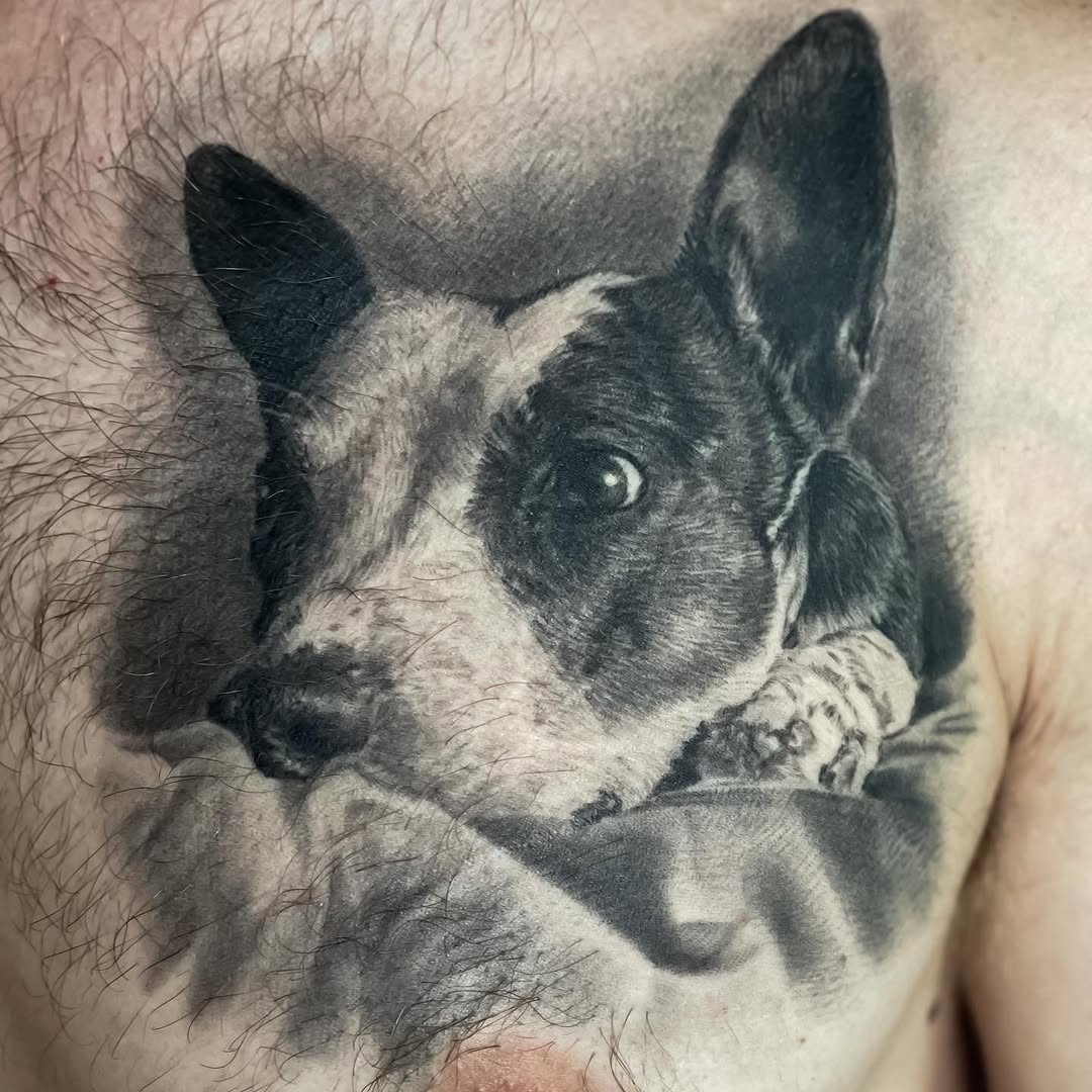 Black-and-grey dog portrait tattoo on chest