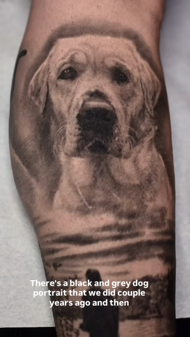 Black-and-grey yellow lab portrait, calf