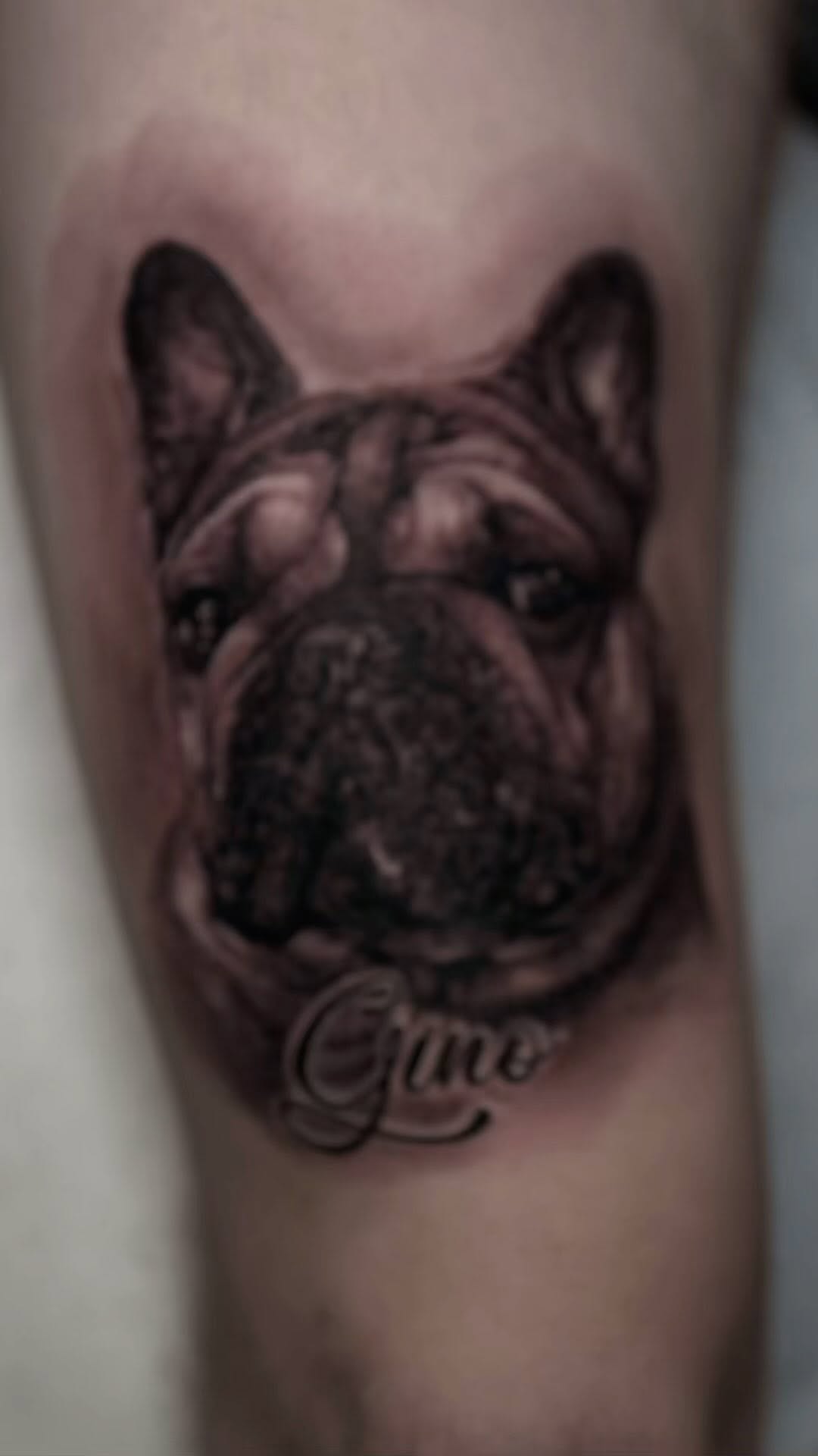 Black-and-grey French bulldog portrait tattoo