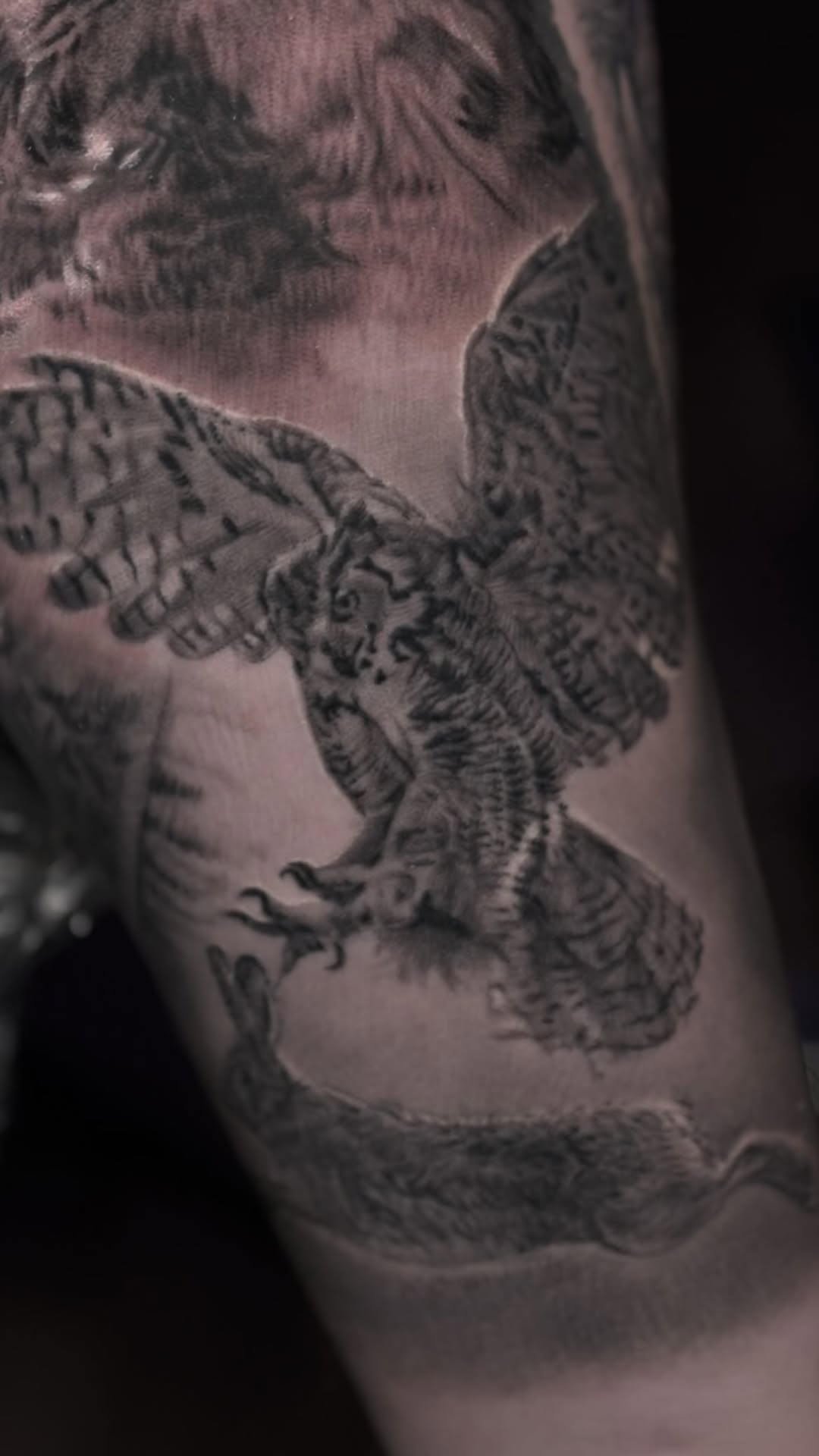 Black-and-grey owl tattoo on arm