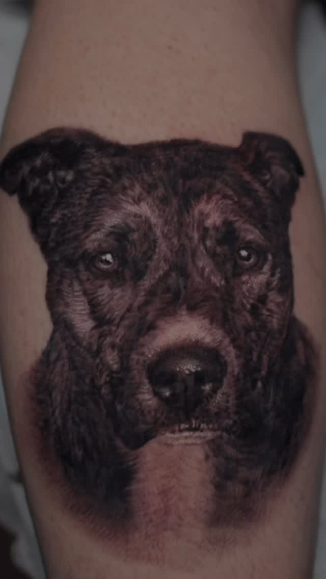 Black-and-grey dog portrait tattoo on calf