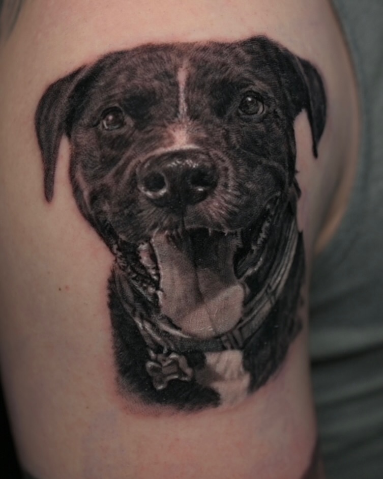 Black-and-grey dog portrait tattoo, bicep