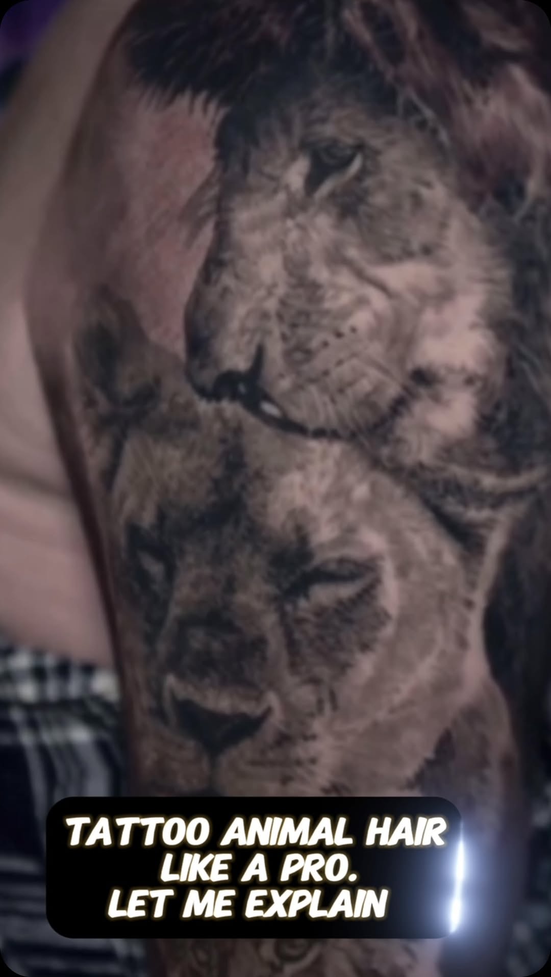 Realistic lion portrait tattoo, arm