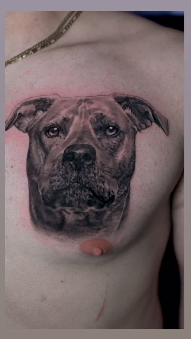 Black-and-grey dog portrait tattoo on chest