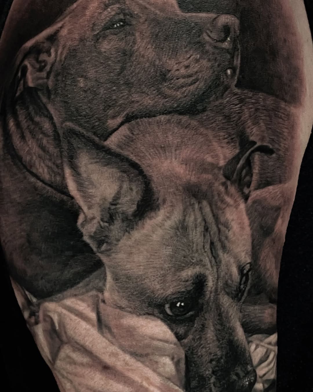 Bicep tattoo