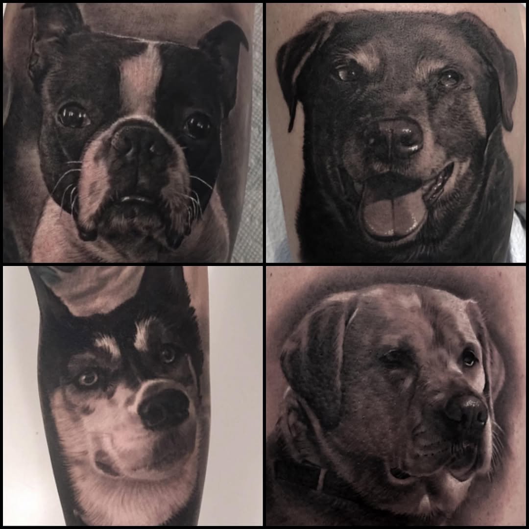 Black-and-grey dog portrait tattoo collection