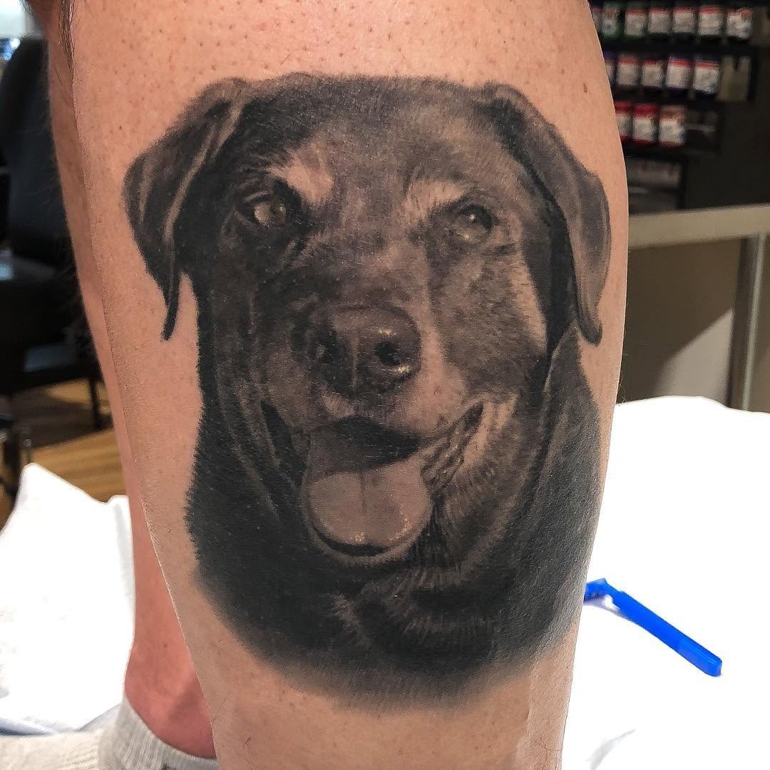 Healed picture of dog portrait I did a while ago