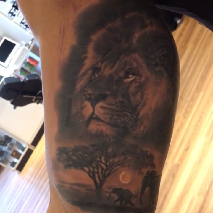 Black-and-grey lion and savannah scene, arm