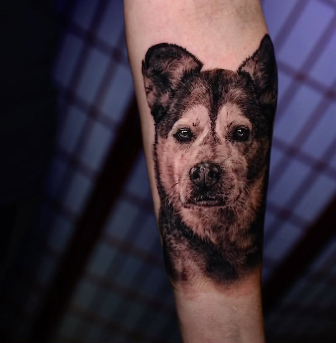 Black-and-grey dog portrait tattoo, forearm