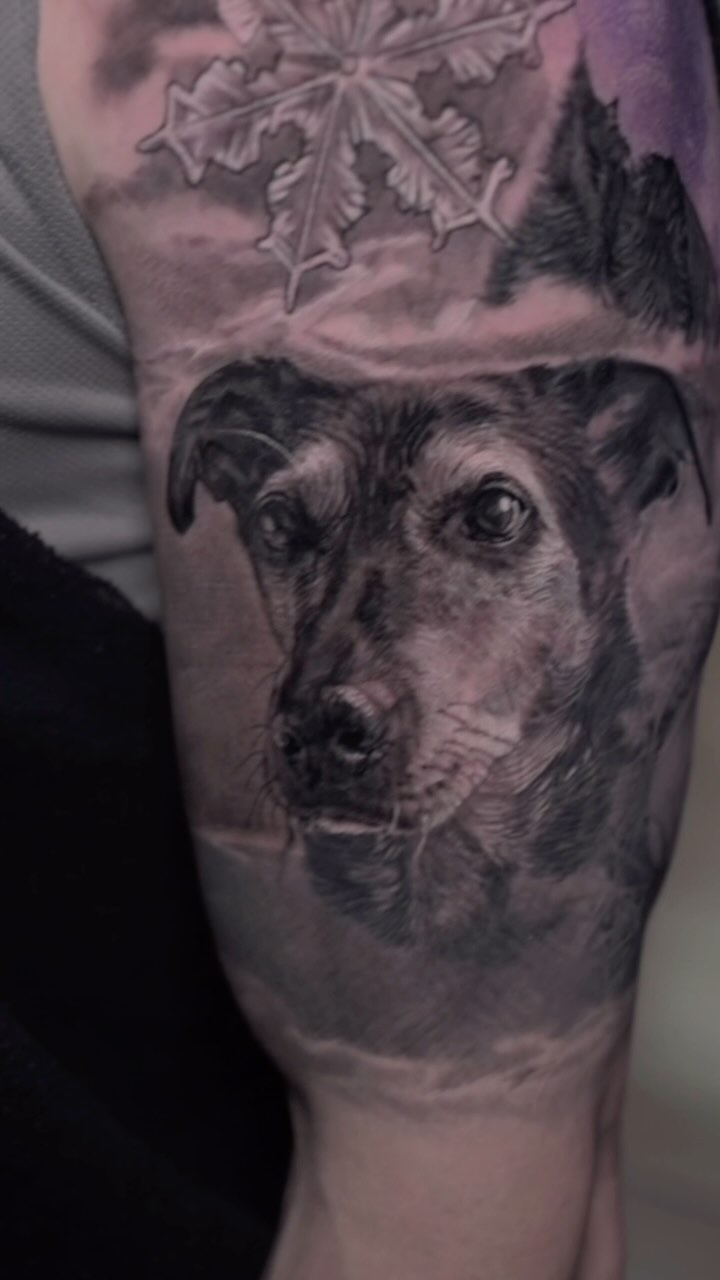 Black-and-grey dog portrait with snowflake, arm