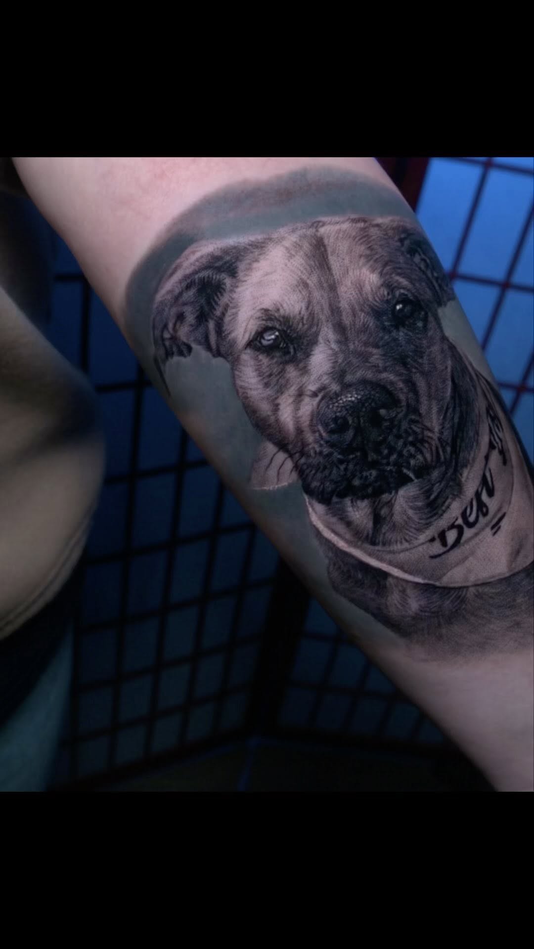 Black-and-grey dog portrait tattoo, forearm
