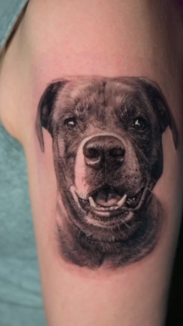 Black-and-grey dog portrait tattoo, arm