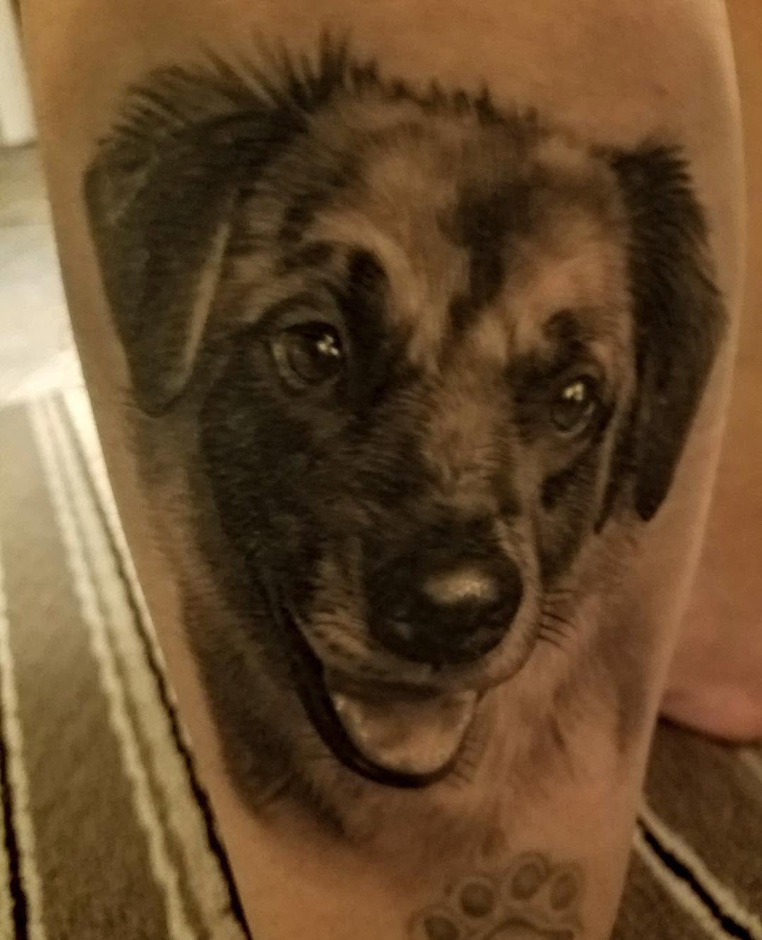 Black-and-grey puppy portrait, leg