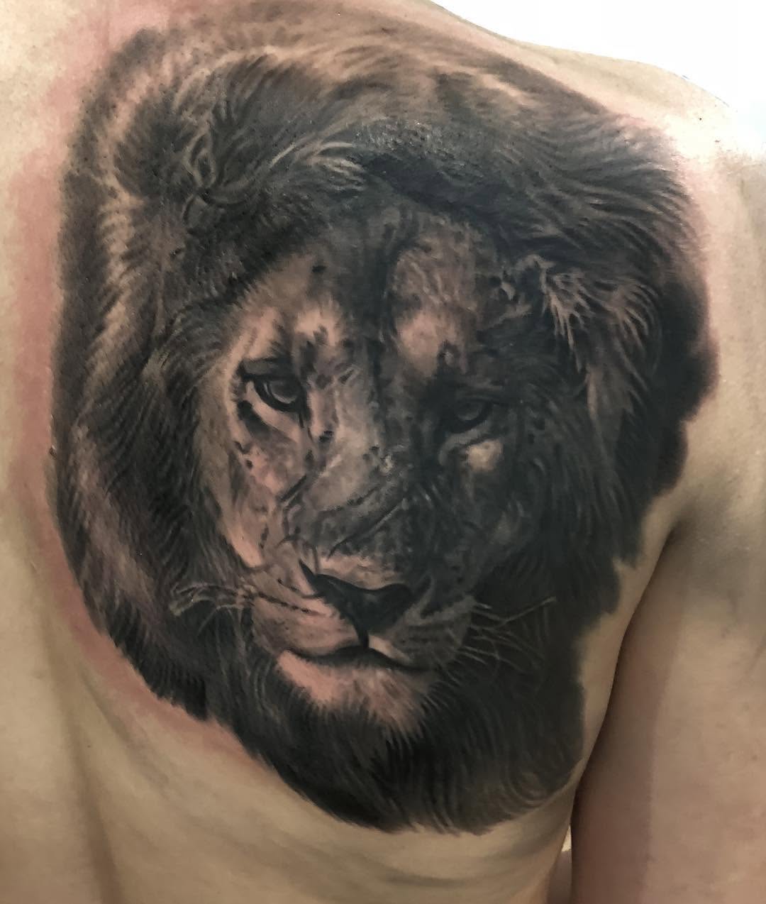 Black-and-grey lion portrait on back