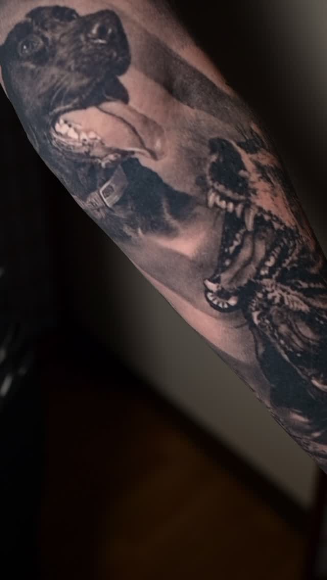 Healed black-and-grey dog sleeve, arm