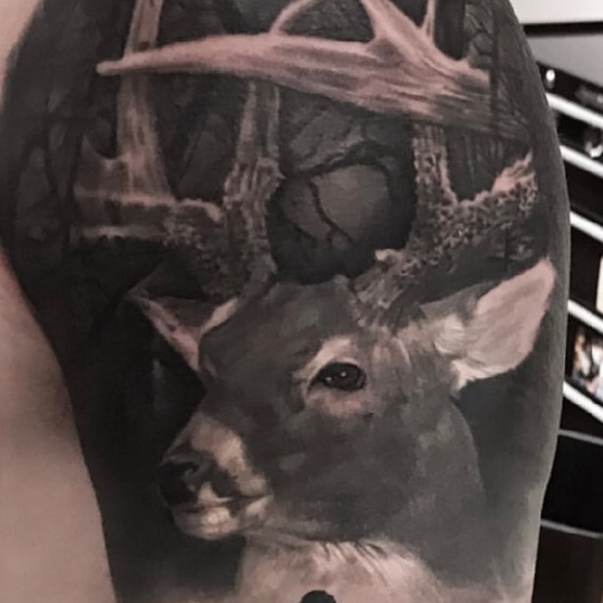 Black-and-grey deer portrait, bicep