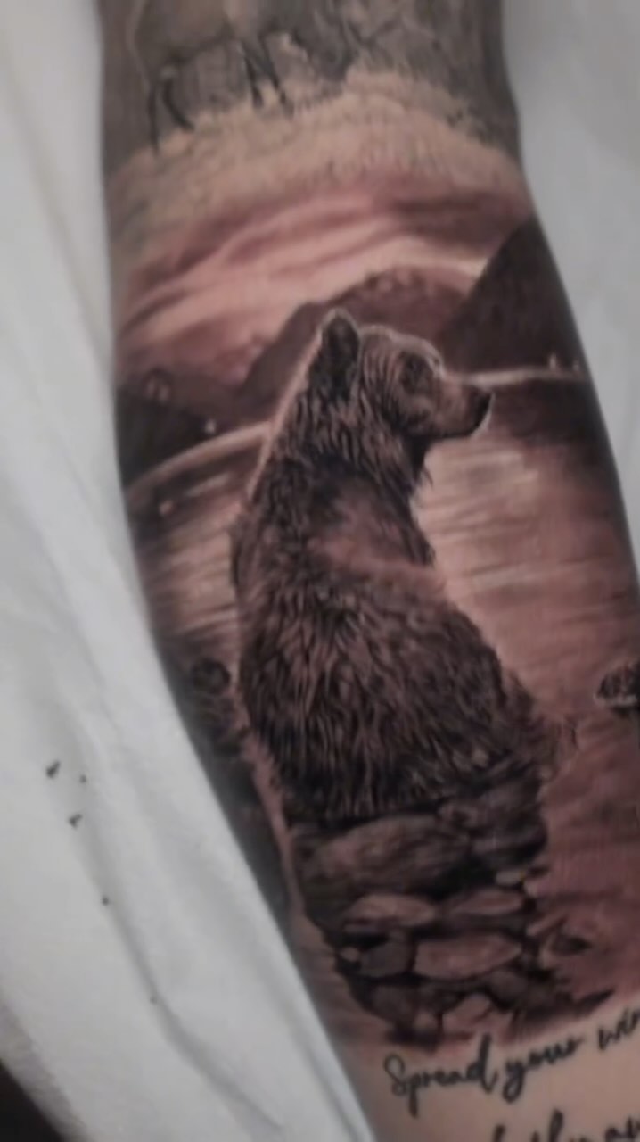 Black-and-grey bear nature scene, forearm