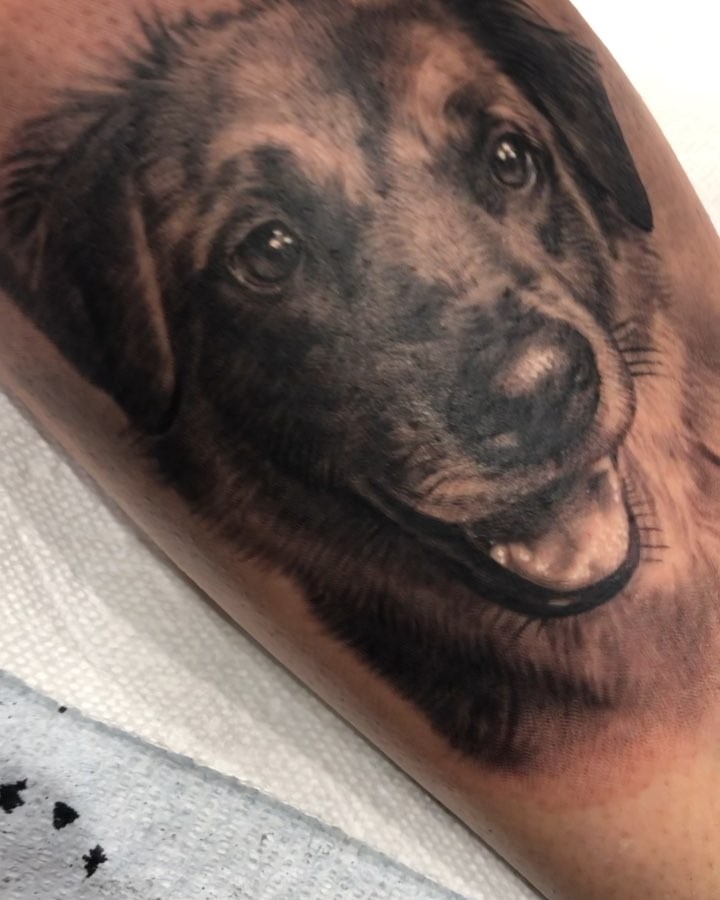 🐕😊. Done with