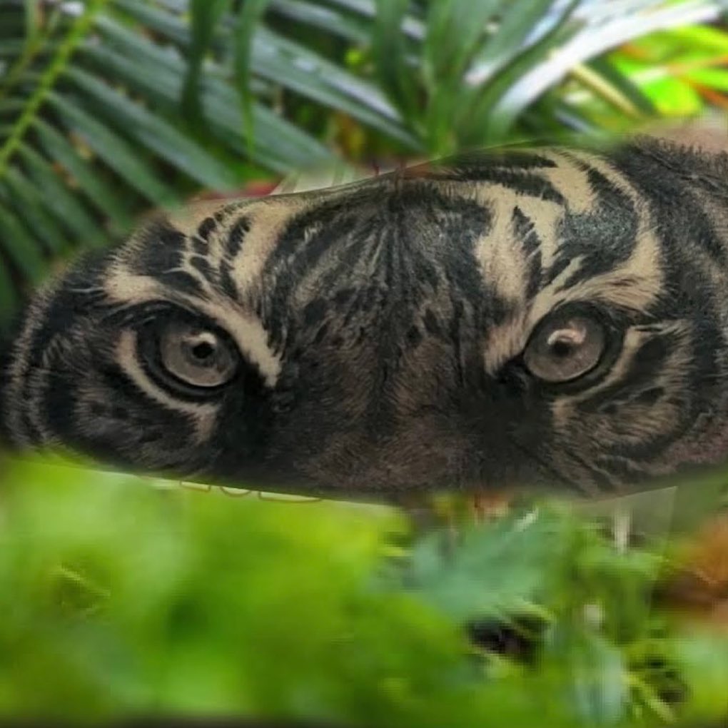 Black-and-grey tiger eyes realism tattoo, forearm