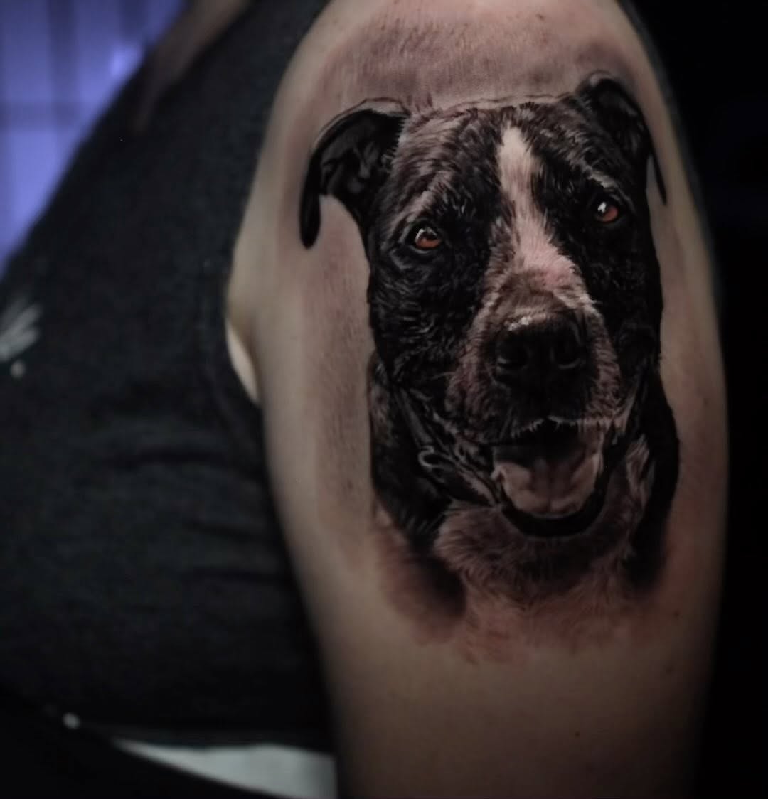 Black-and-grey pit bull portrait tattoo, bicep