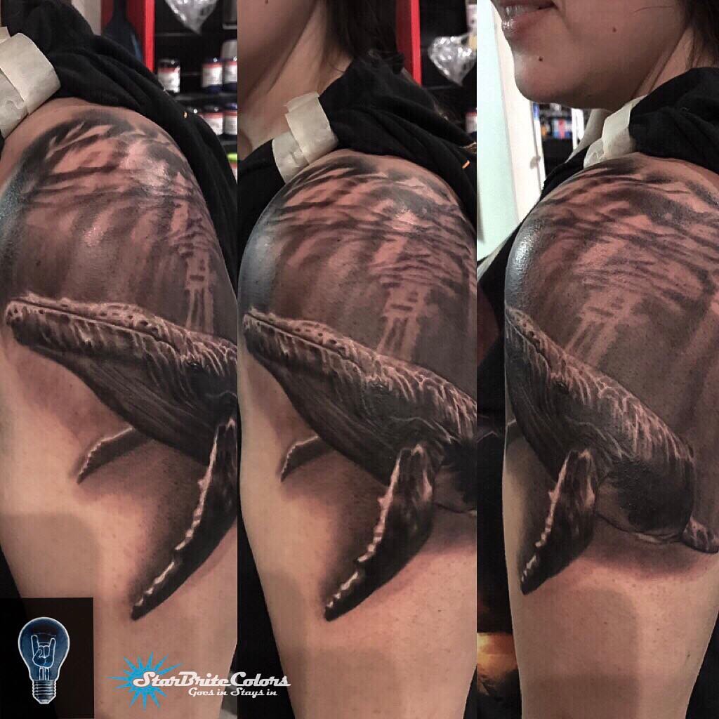 Black-and-grey humpback whale underwater sleeve