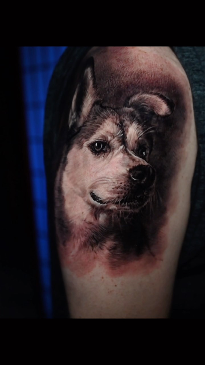 Black-and-grey dog portrait tattoo on bicep