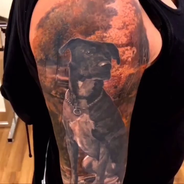 Color realism dog portrait, bicep sleeve
