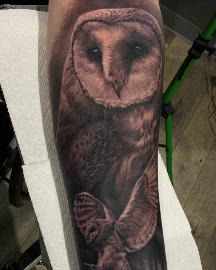 Black-and-grey barn owl realism, forearm