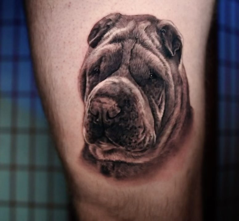 Black-and-grey Shar Pei portrait tattoo