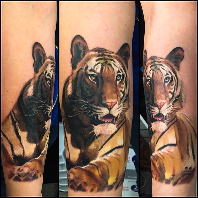 Color realism tiger half sleeve, forearm