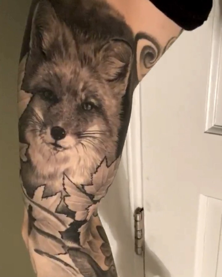 Black-and-grey fox portrait with maple leaves, arm