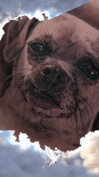 Black-and-grey dog portrait memorial tattoo