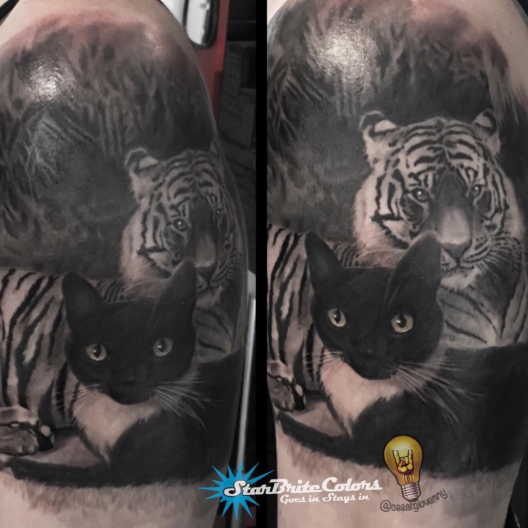 Black-and-grey cat and tiger portrait, bicep