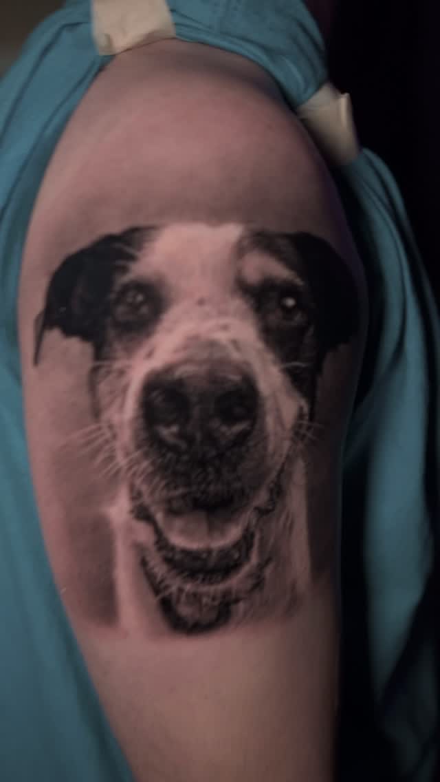 Black-and-grey dog portrait tattoo on bicep
