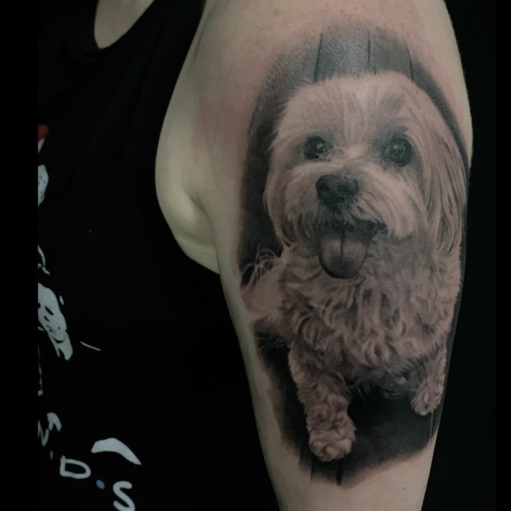 Black-and-grey dog portrait tattoo, bicep