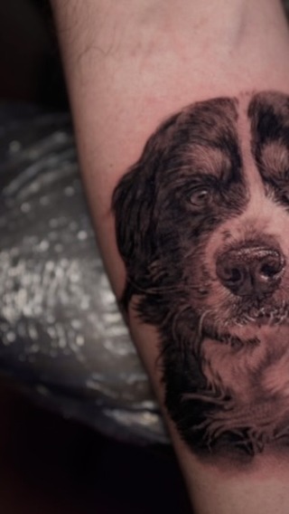 Black-and-grey dog portrait, forearm