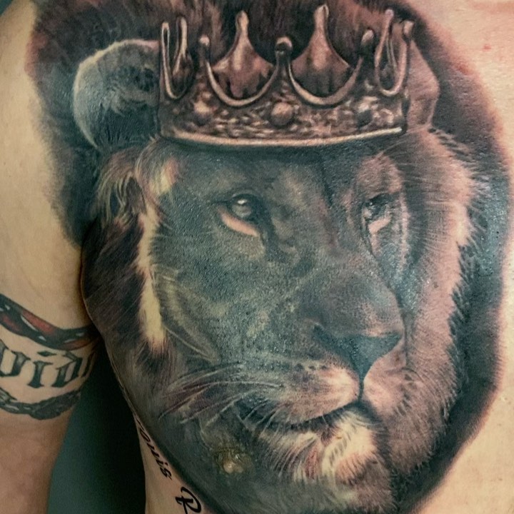 Black-and-grey crowned lion portrait, chest