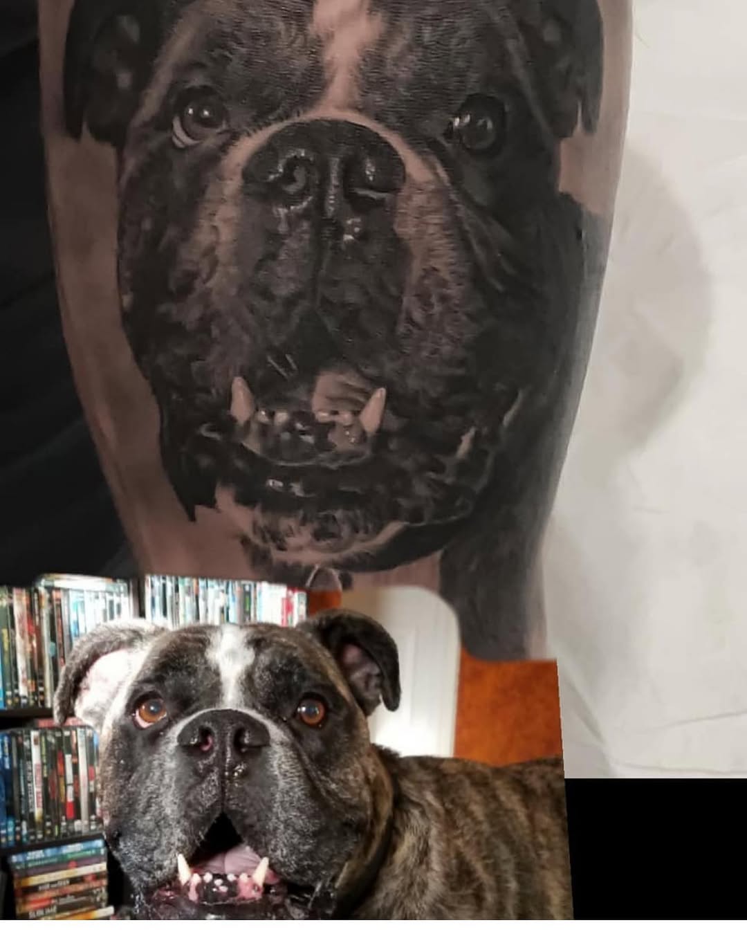 Black-and-grey bulldog portrait tattoo