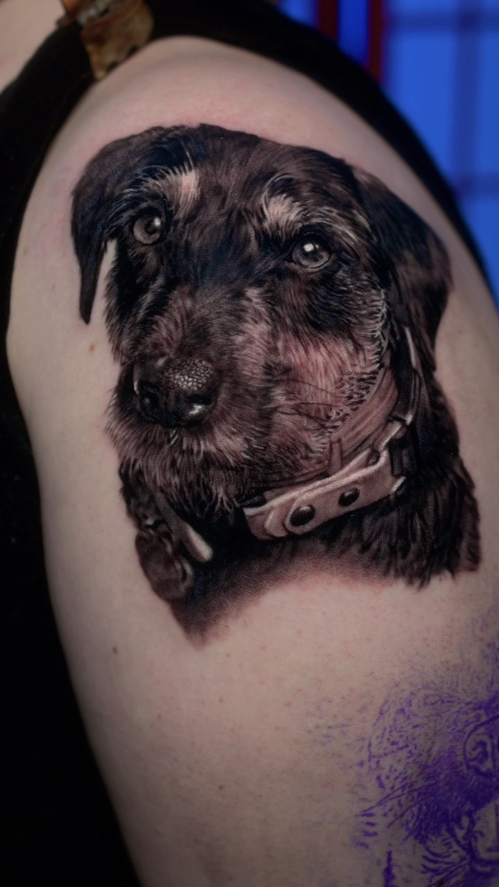 Black-and-grey dog portrait tattoo on shoulder