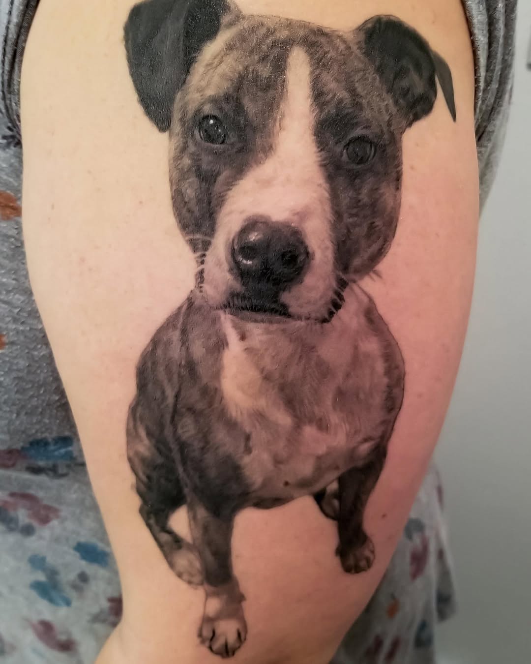 Black-and-grey pit bull portrait tattoo, arm