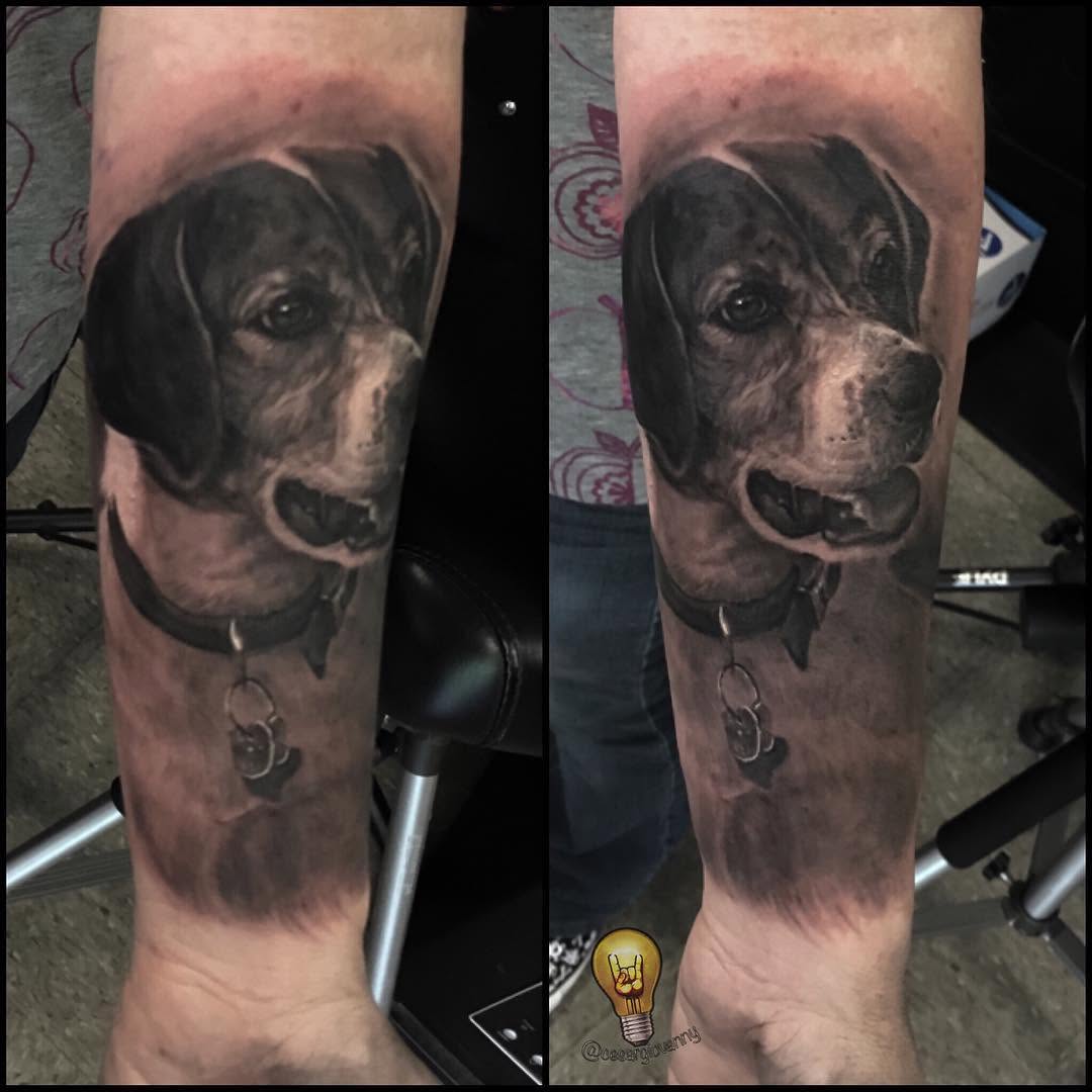 Black-and-grey beagle portrait, forearm