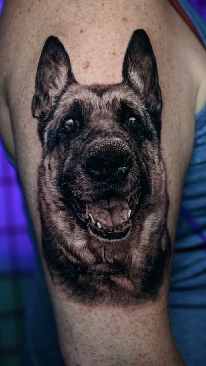 German shepherd portrait tattoo, bicep