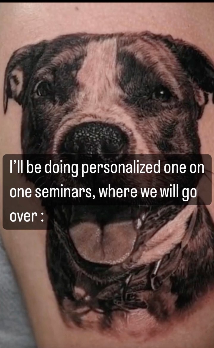 Black-and-grey pitbull portrait tattoo