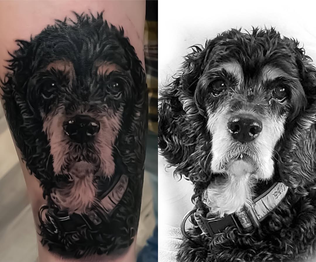 Black-and-grey dog portrait tattoo, forearm