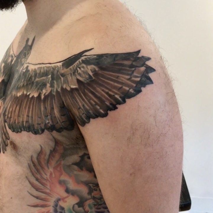 Realistic owl wings tattoo, chest and shoulder