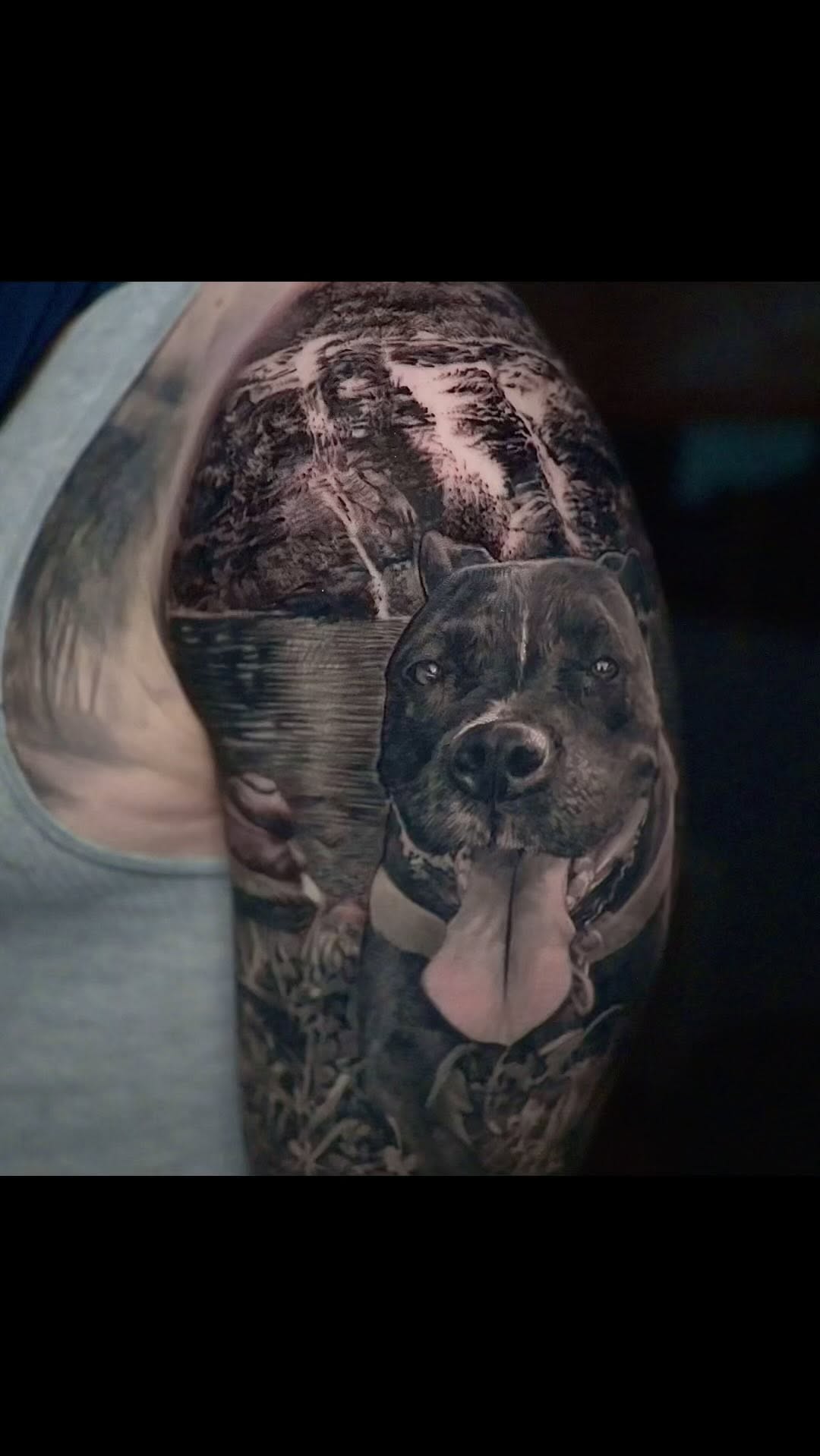 Black-and-grey dog portrait with waterfall, half-sleeve