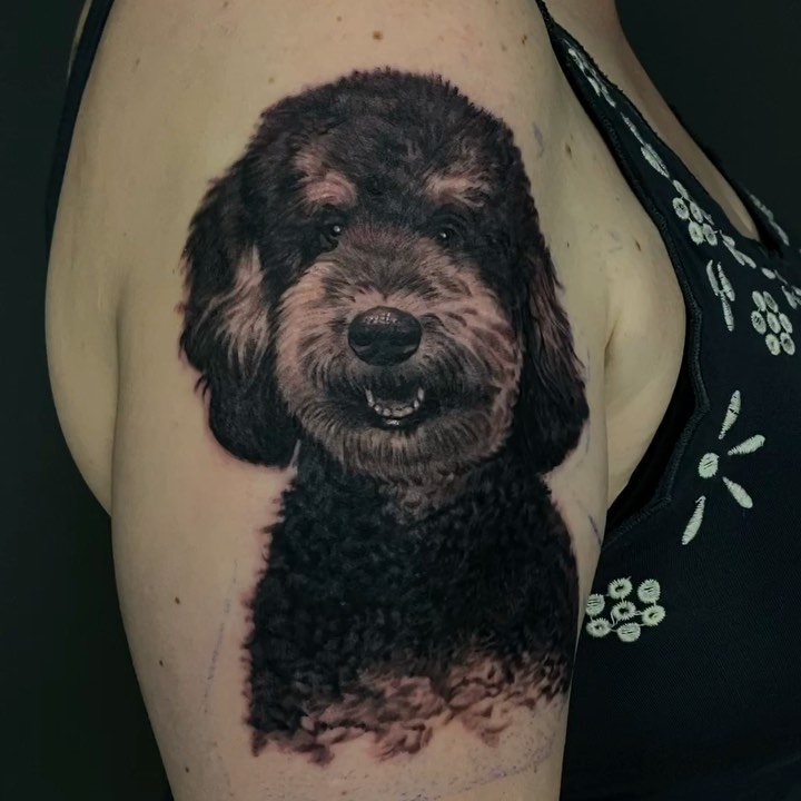 Black-and-grey doodle dog portrait, bicep