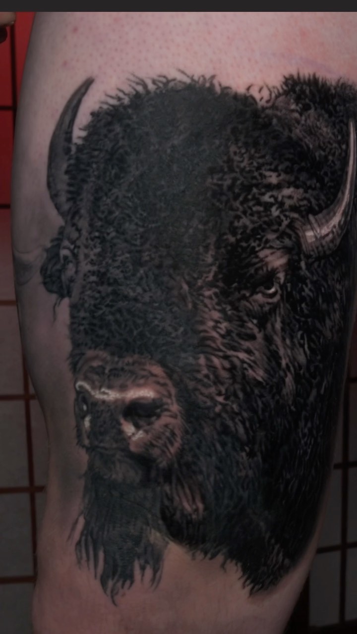 Black-and-grey buffalo portrait tattoo, thigh